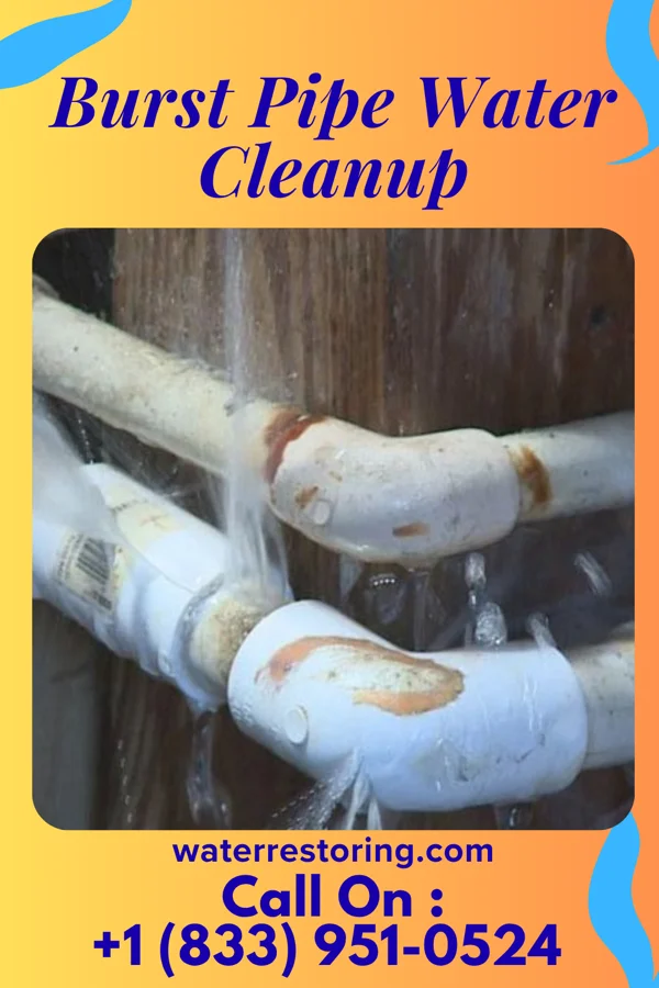 Burst Pipe Water Cleanup in Burlington, MI