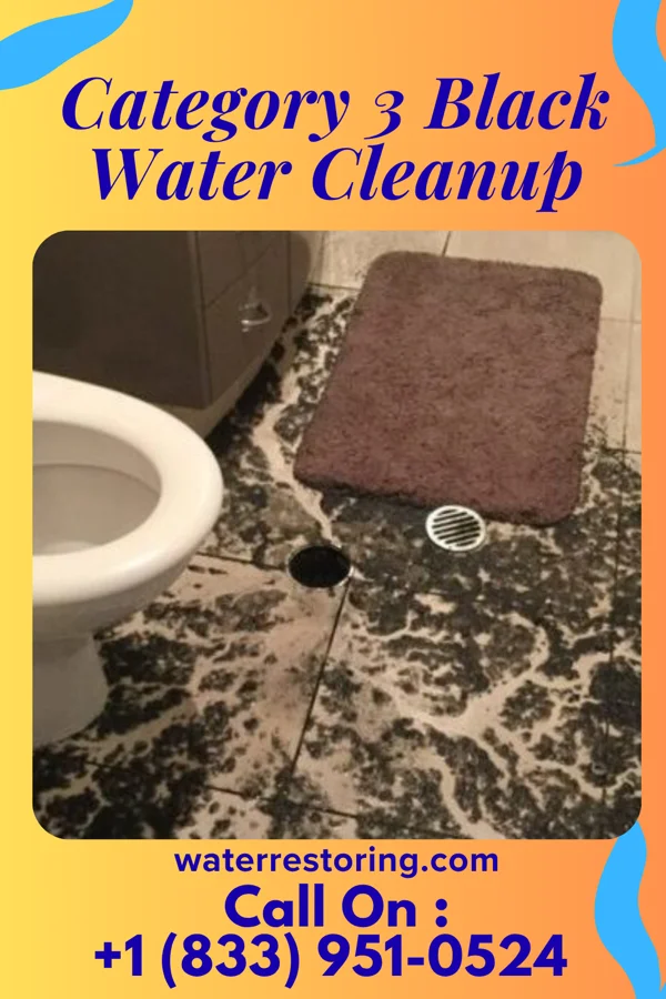 Category 3 Black Water Cleanup in Burlington, MI