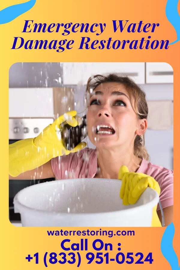 Emergency Water Damage Restoration in Burlington, MI