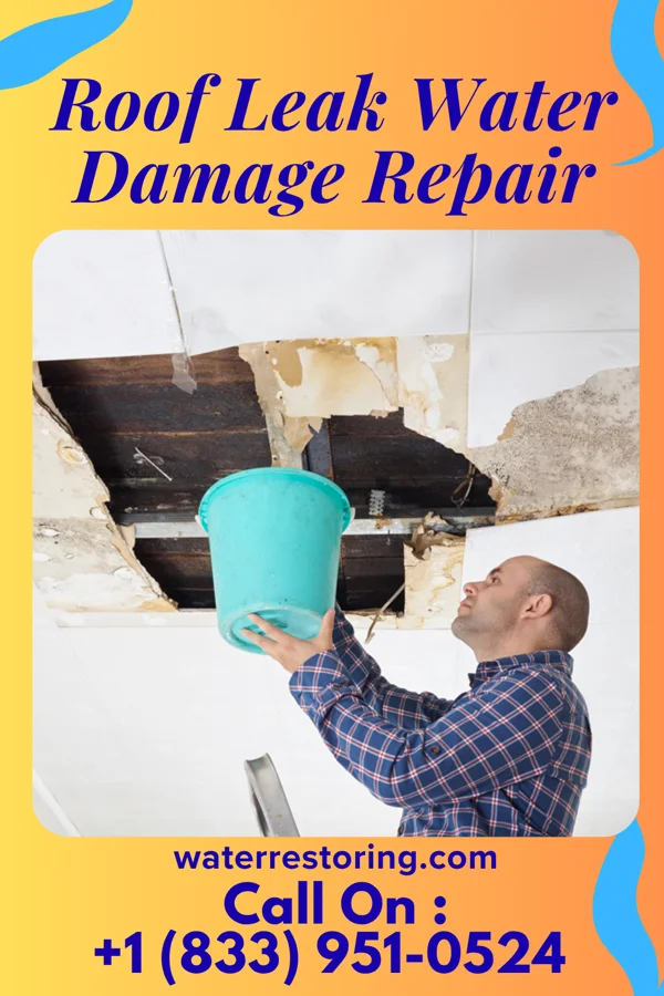 Roof Leak Water Damage Repair in Burlington, MI